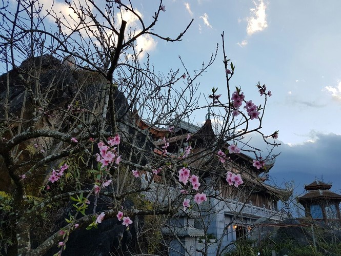 Sắc đào phủ kín Ga đi cáp treo Fansipan Legend - ảnh 4