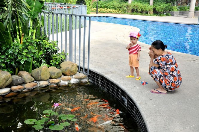 Mulberry Lane - Không ngừng gia tăng dịch vụ cho khách hàng - ảnh 1