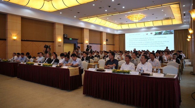 Hiệp hội Mắc Ca Việt Nam tổ chức hội nghị thường niên năm 2017 - ảnh 1