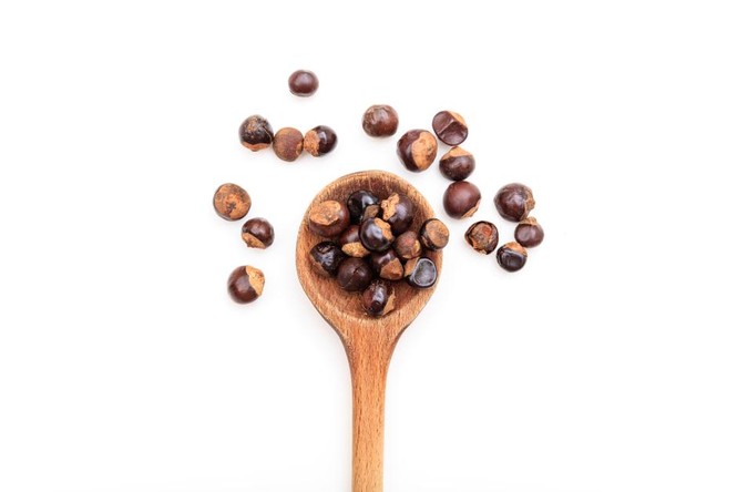 Hạt Guarana và công dụng giúp tỉnh táo, tăng cường năng lượng - ảnh 1