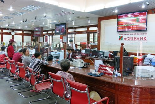 Vun đắp nét đẹp văn hóa Agribank - ảnh 1