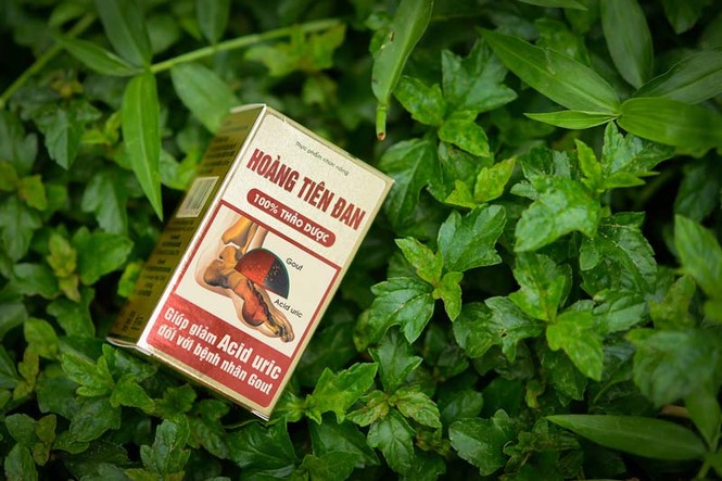 Thận yếu: Sợ “yêu”, liêu xiêu vì gout - ảnh 3
