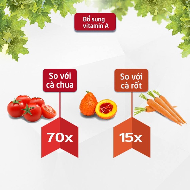 Bí quyết vàng cho đôi mắt khỏe, đẹp - ảnh 1