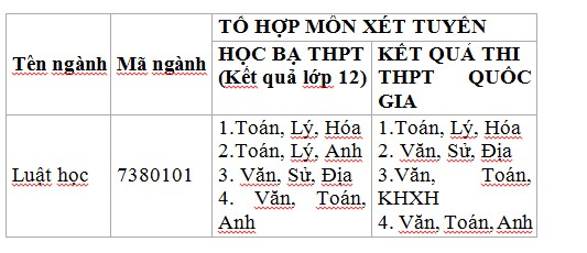 Luật học: Ngành học mới tại DTU năm 2018 - ảnh 1
