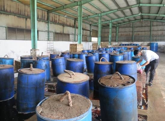TP.HCM: Kiểm tra cơ sở sản xuất muối ớt tại huyện Bình Chánh - ảnh 1