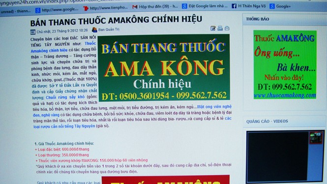 Ama Kông có ngậm cười?... - ảnh 1