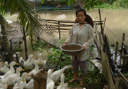 Nữ sinh nghèo 12 năm nuôi heo đất dành tiền đi học - ảnh 2