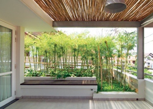 Biến sân thượng thành khu vườn xanh ngắt - ảnh 3