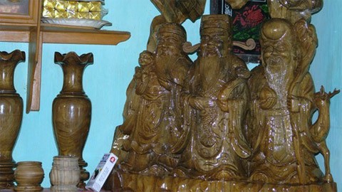 ‘Vương quốc’ cây vô sinh duy nhất thế giới ở Tây Nguyên - ảnh 4