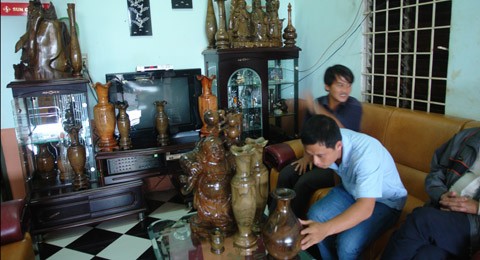 ‘Vương quốc’ cây vô sinh duy nhất thế giới ở Tây Nguyên - ảnh 5