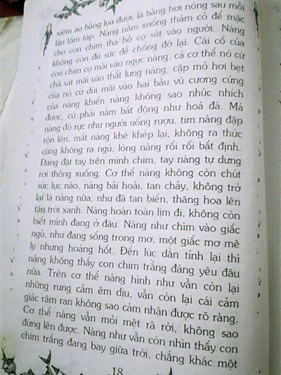 Cục Xuất bản sẽ xử lý nghiêm vụ Truyện cổ tích 18+ - ảnh 2