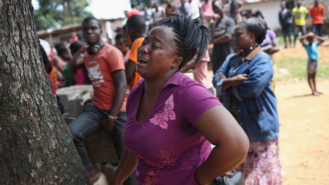 Dịch Ebola còn kéo dài ít nhất 6 tháng nữa - ảnh 1
