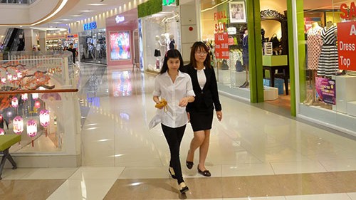 Ngành bán lẻ trong nước chênh vênh trước WTO - ảnh 1