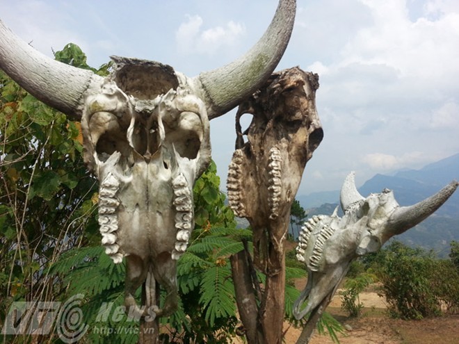 Kỳ bí ‘vùng đất sọ trâu’ của bộ tộc ít người ở Hà Giang - ảnh 2