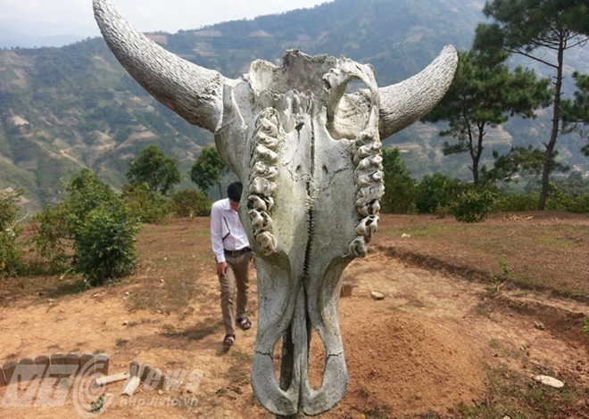 Kỳ bí ‘vùng đất sọ trâu’ của bộ tộc ít người ở Hà Giang - ảnh 3