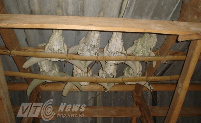 Kỳ bí ‘vùng đất sọ trâu’ của bộ tộc ít người ở Hà Giang - ảnh 6