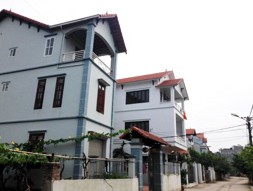 Những biệt khu đặc sản phù sa ở bãi sông Hồng - ảnh 4