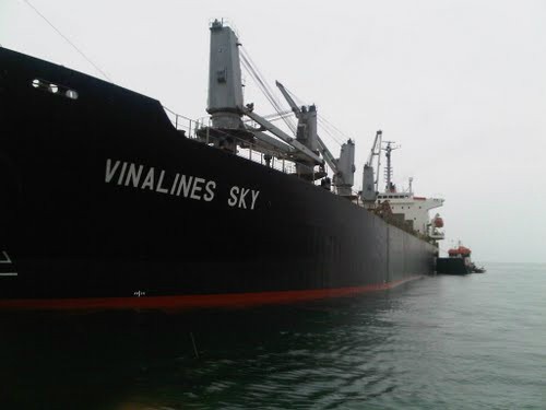 Vinalines chính thức thua vụ kiện 3 triệu USD - ảnh 1