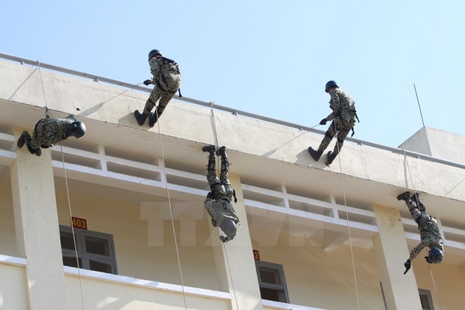 Đặc công Việt Nam trình diễn công phu tinh nhuệ - ảnh 9