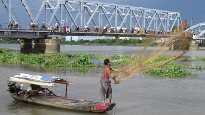 40 năm 'cướp thức ăn' của Hà Bá trên sông Sài Gòn - ảnh 3
