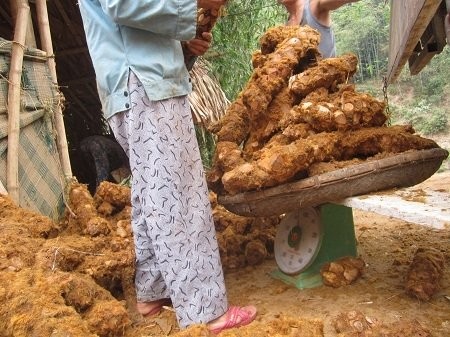 Sự thật