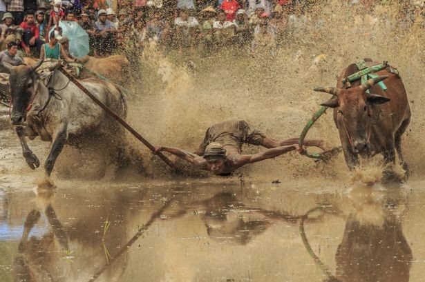 Kiêu hùng 'cuộc đua với tử thần” ở Indonesia - ảnh 5
