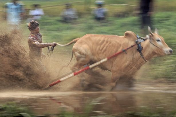 Kiêu hùng 'cuộc đua với tử thần” ở Indonesia - ảnh 6