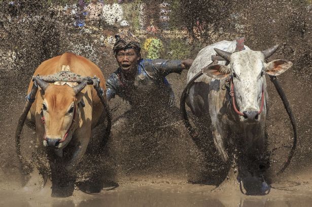 Kiêu hùng 'cuộc đua với tử thần” ở Indonesia - ảnh 1