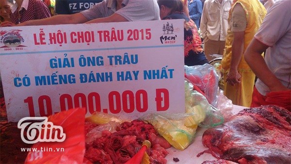 Thịt trâu chọi Đồ Sơn giá bạc triệu hút khách - ảnh 4