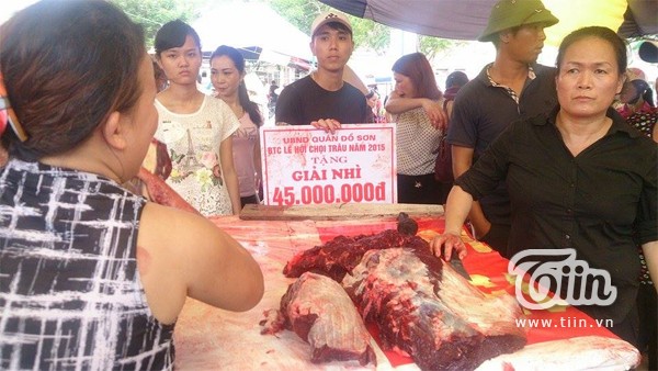 Thịt trâu chọi Đồ Sơn giá bạc triệu hút khách - ảnh 6
