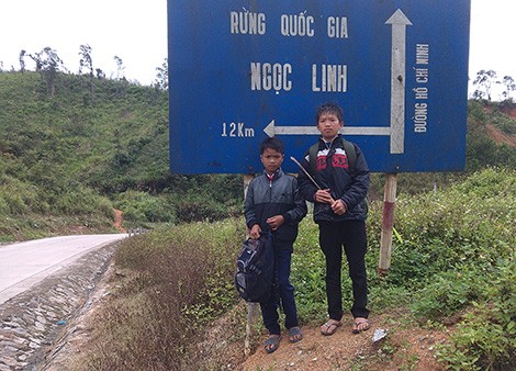 Sâm Ngọc Linh và bóng dáng của sự lọc lừa - ảnh 1