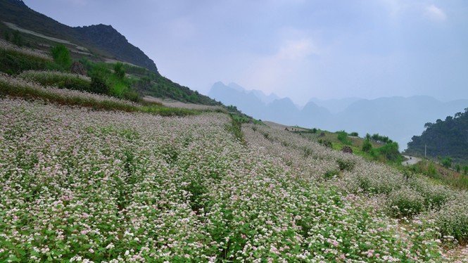 Triển lãm “Tình” - ảnh 1