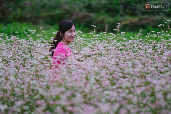 'Tôi đã thấy hoa tam giác mạch ở Hà Giang đẹp tuyệt vời' - ảnh 10
