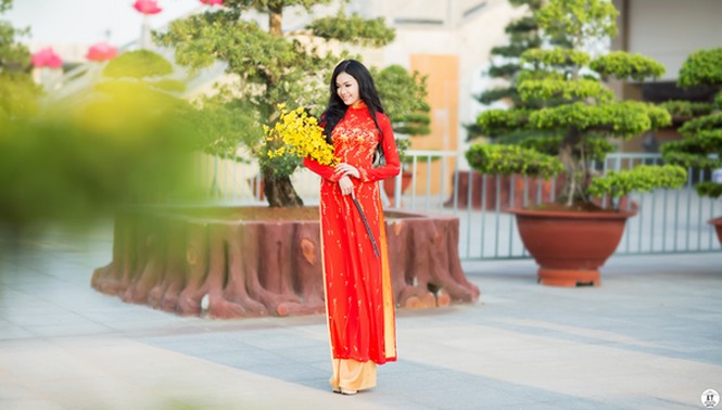 Nữ du học sinh Úc rạng rỡ đón Xuân với áo dài đỏ, sắc mai vàng - ảnh 8