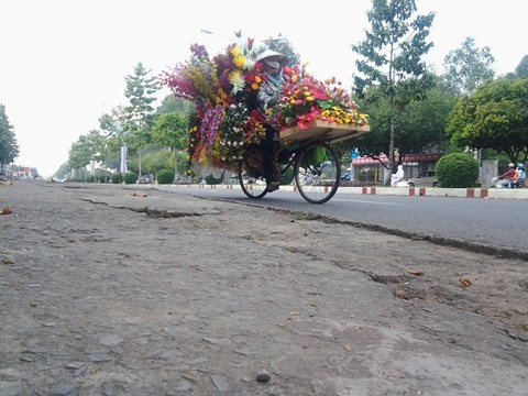 Những mảnh đời hoa dạo khi xuân về - ảnh 4