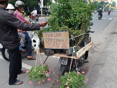 Những mảnh đời hoa dạo khi xuân về - ảnh 6