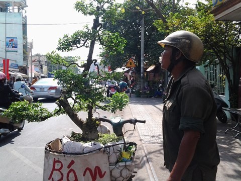 Những mảnh đời hoa dạo khi xuân về - ảnh 1