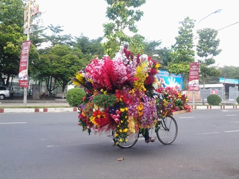 Những mảnh đời hoa dạo khi xuân về - ảnh 2