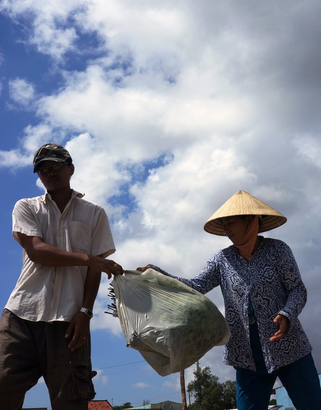 Bắt tay vào việc ngay đầu năm mới - ảnh 2