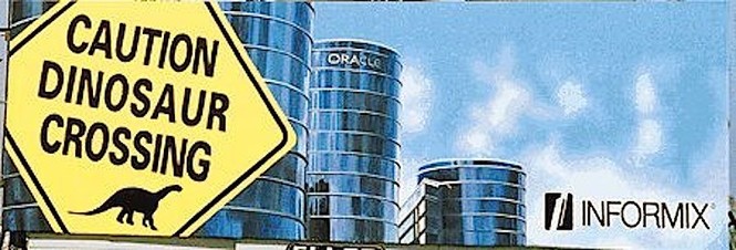 Cuộc đời 'bố già' làng công nghệ Larry Ellison - ảnh 9