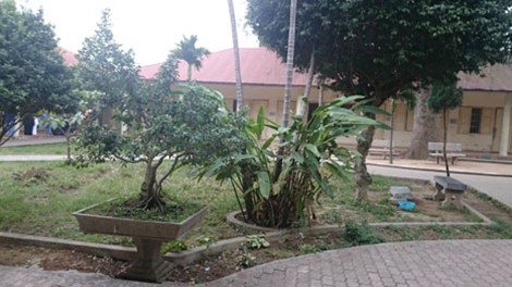 Chuyện khó tin về những ông Tây 'ngáo đá' - ảnh 3