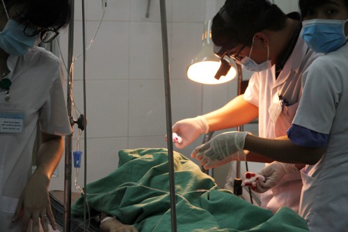 Hàng chục người nâng cây đổ, cứu cô gái bị mắc kẹt - ảnh 1