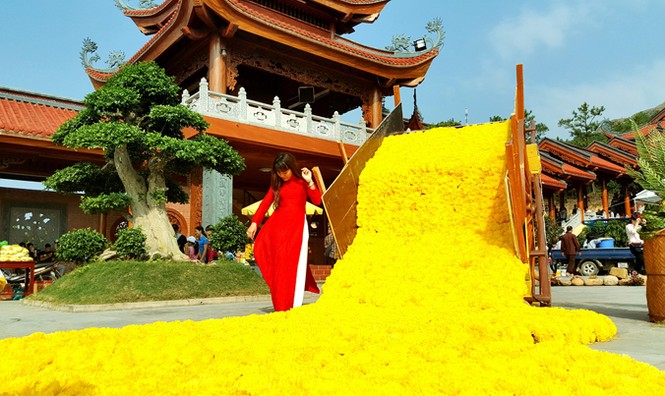 Hàng vạn người tham gia 'Lễ hội hoa cúc' - ảnh 12