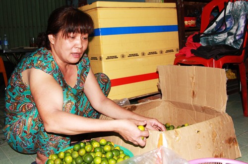 Thầy giáo bị thử việc không lương: 'Vẫn hồi hộp từ hôm gặp bác Thăng' - ảnh 1