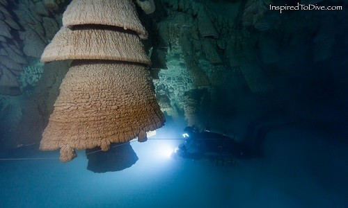 'Chuông địa ngục' trong hang sâu 30 m ở Mexico - ảnh 1