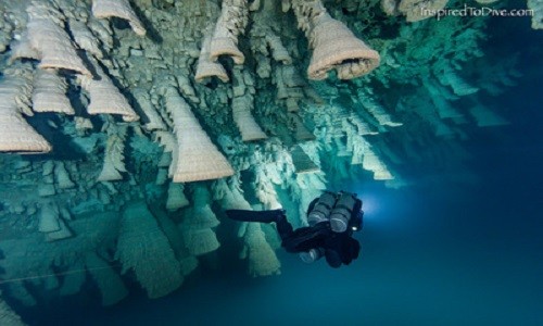 'Chuông địa ngục' trong hang sâu 30 m ở Mexico - ảnh 2
