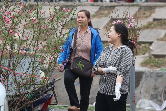 Đào bung nụ xuống phố - ảnh 3