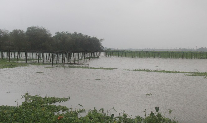 Quảng Nam: Nước lũ bao vây, 1 người tử vong - ảnh 2