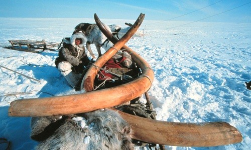 Những bí mật phát lộ dưới 'quả bom hẹn giờ vĩnh cửu' ở Siberia - ảnh 5