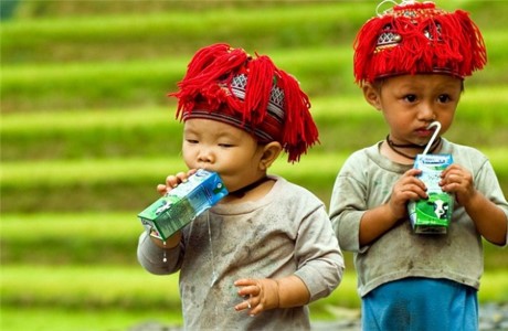 Vinamilk tâm huyết với quỹ sữa 'Vươn cao Việt Nam' - ảnh 1